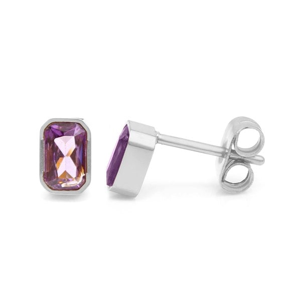 Say It With February Amethyst Birthstone Earrings - Silver Plated