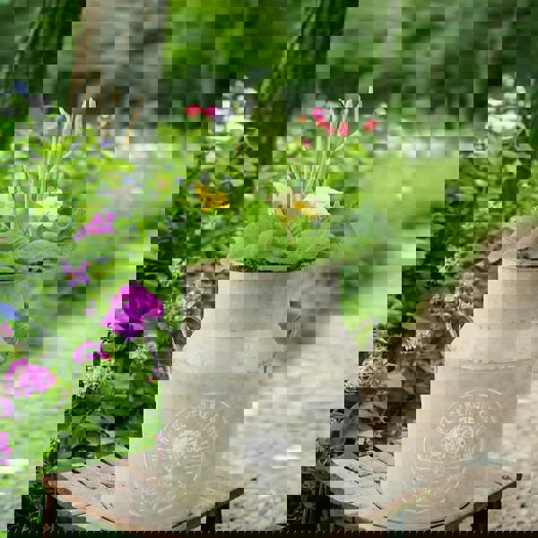 23cm Spring Outdoor Milk Churn Planter