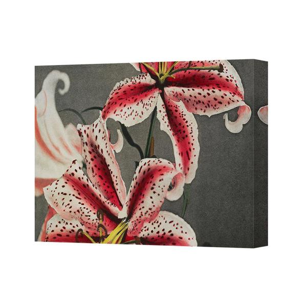 Benjamin Tate Design Premium Canvas Wall Art Pink Lily Floral Print 2280 Giclee on Canvas
