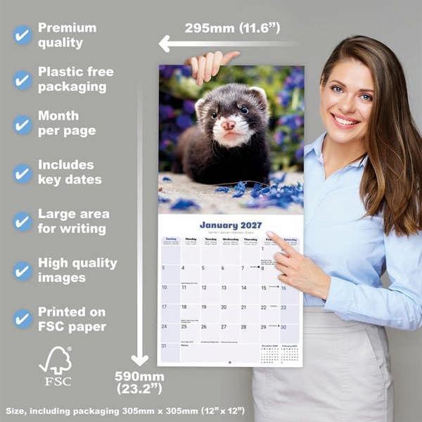 Ferrets Calendar 2027, Wall Calendars, Month To View, Animals, Gift
