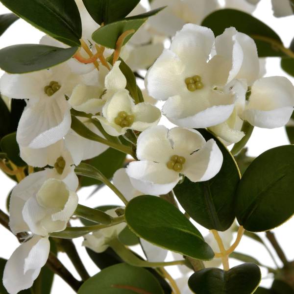 Wyld Haus Set of 3 Artificial Flowers White Spring Mock Orange Stems