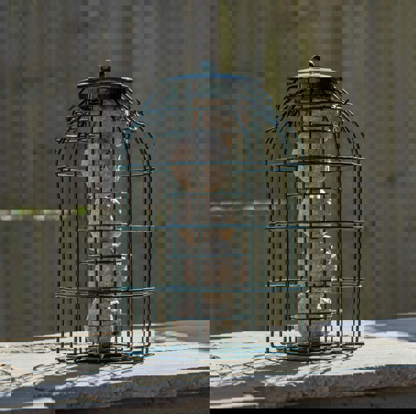 Samuel Alexander Pack of 2 Samuel Alexander Metal Hanging Bird Fat Ball Feeder with Squirrel Guard & Pack of 6 Suet Fat Balls