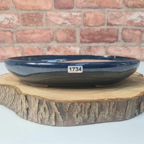 31cm Glazed Bonsai Pot | Oval | 31cm x 22cm x 4.5cm | Blue - Yorkshire Bonsai