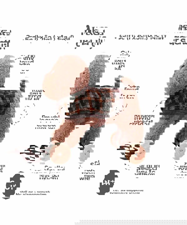 Infographic image of Percy Pup Pull Along Toy showing features and benefits