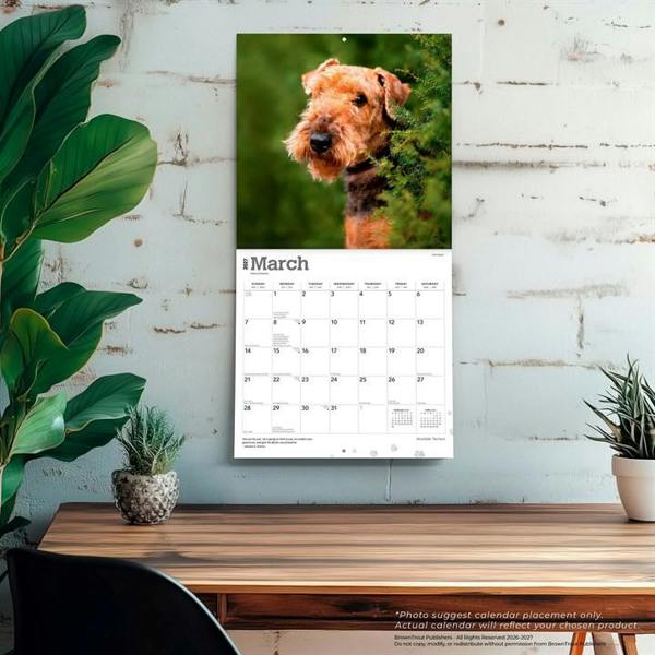 Airedale Terriers Calendar 2027, Wall Calendars, Month To View, Dogs, Gift
