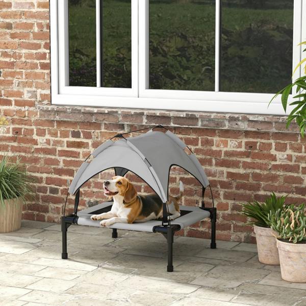 Elevated Dog Bed
