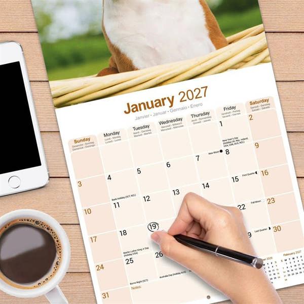Boxer Puppies Calendar 2027, Wall Calendars, Month To View, Dogs, Gift