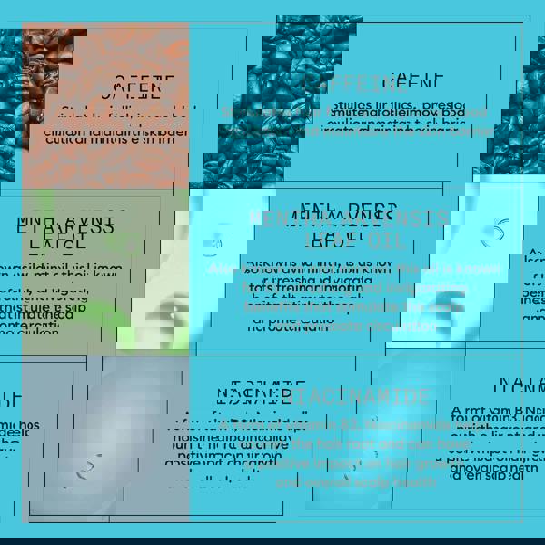 Nioxin Pro Clinical System 3 Leave-In Treatment for Coloured Hair with Light Thinning 100ml - Additional 5
