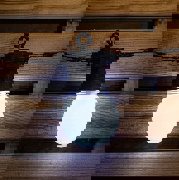 Samuel Alexander Set of 10 Indoor Outdoor Connectable Party Festoon Lights with Cool White LEDs