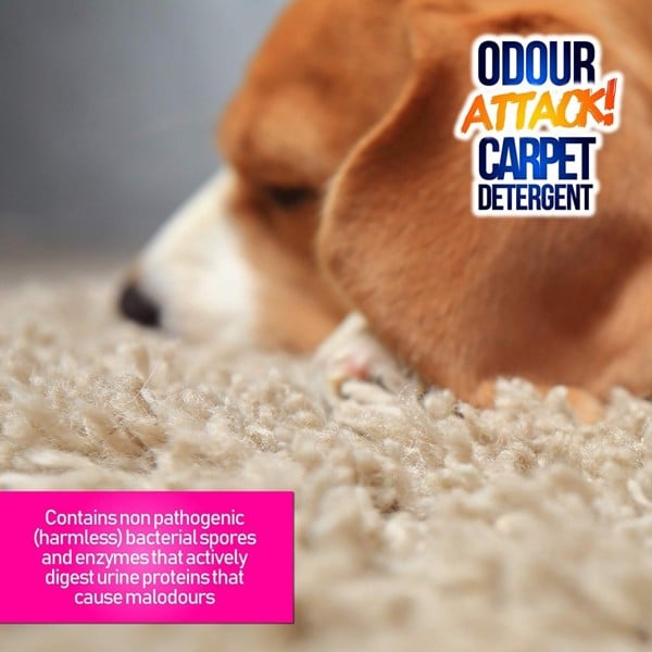 ProKleen Pro-Kleen Odour Attack for Homes with Pets Carpet Cleaner Enzyme Shampoo (Fresh Citrus) - Extreme Cleaner