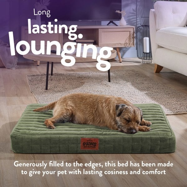 Slumberdown Paws for Slumber Orthopedic Pet Bed