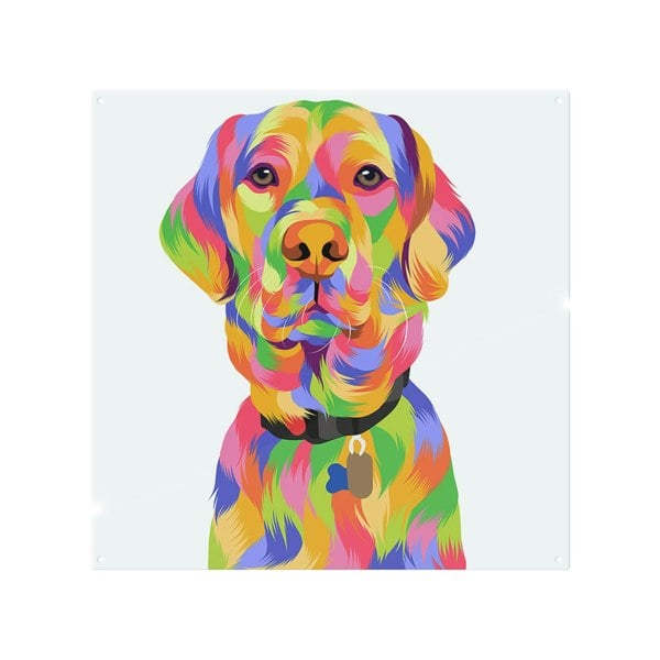 Benjamin Tate Design Amazing Illustration Pop Art Designer Splash Back