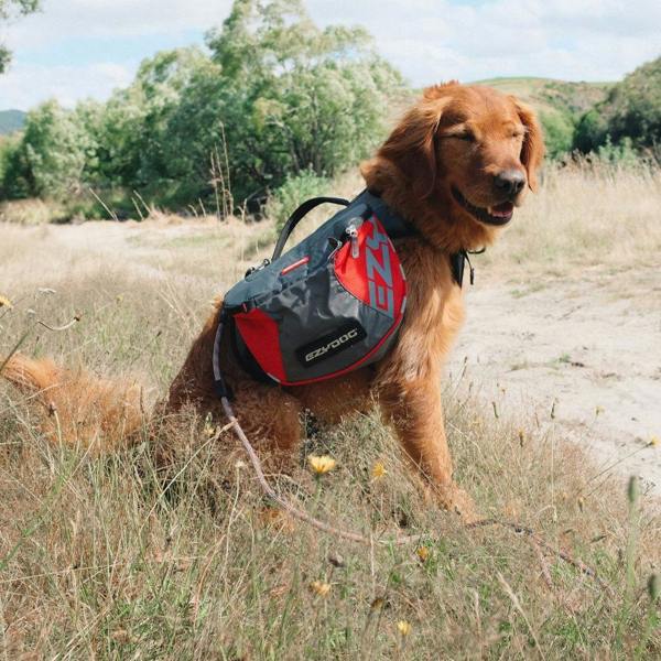 EzyDog Summit 2in1 Backpack and Harnesss