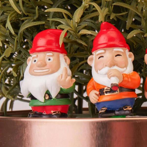 Mini Plant Pot Naughty Gnomes - alternative angle