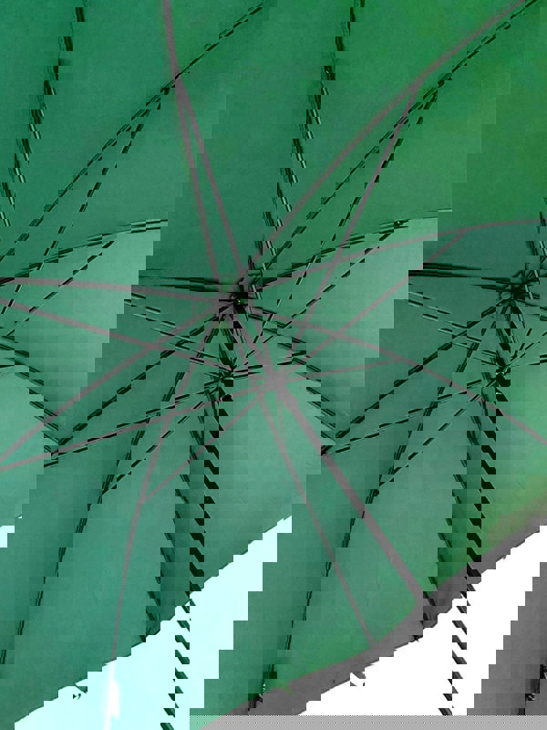 TCL Umbrella