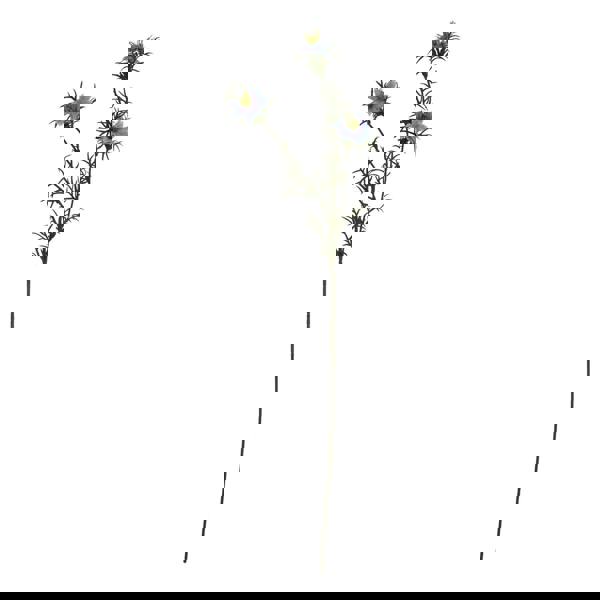 Hill Interiors The Natural Garden Collection Love In A Mist Nigella Artificial Flower - Purple