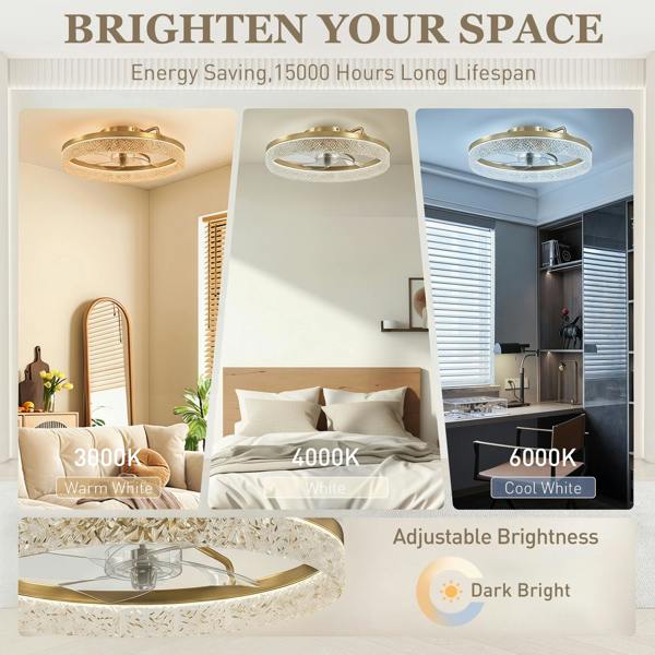 Ceiling Fan With Light