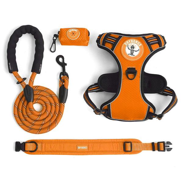 DRYBONES Dog/Pet Accessories Bundle
