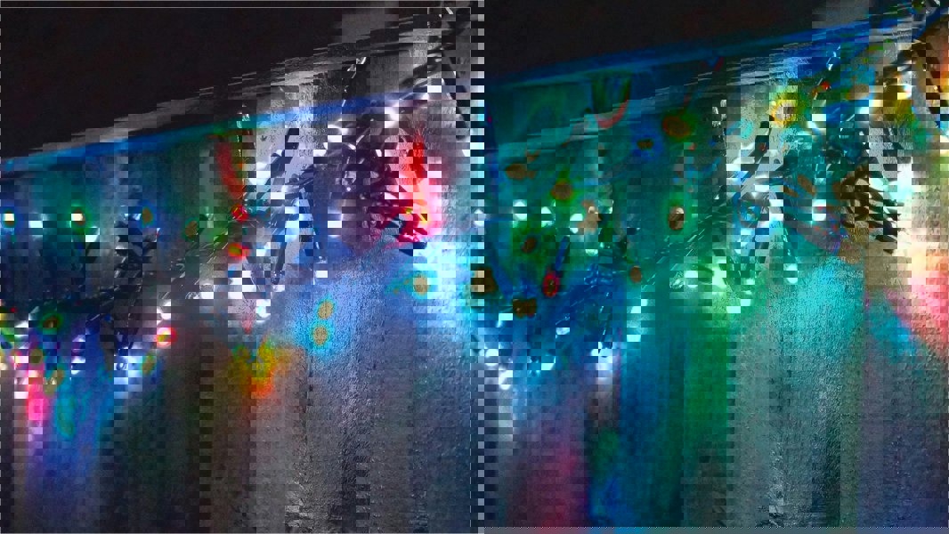 Eagle Connect Cluster Lights Black Rubber IP65 5m/250 LED Col Ch