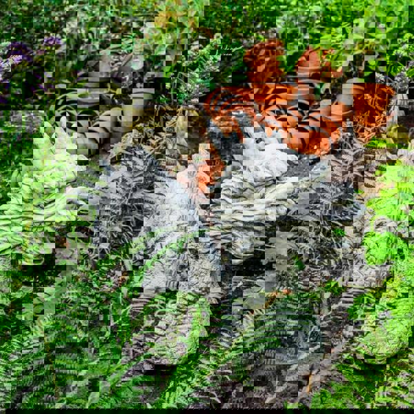 3 Piece Stone CastDragon Statue