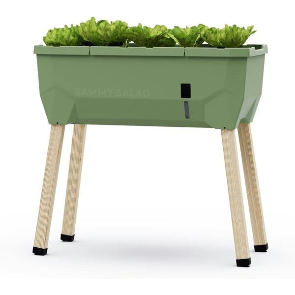 SAMMY SALAD raised bed for salad growing - Dark Green
