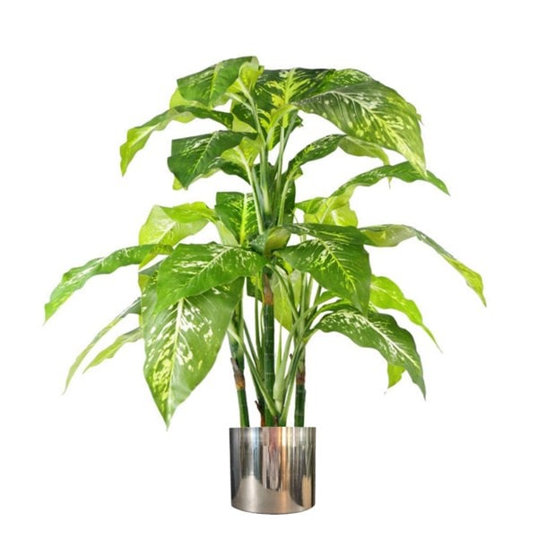 Leaf 100cm Large Fox's Aglaonema (Spotted Evergreen) Tree Artificial Plant with Silver Metal Planter