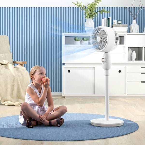 air circulator fan