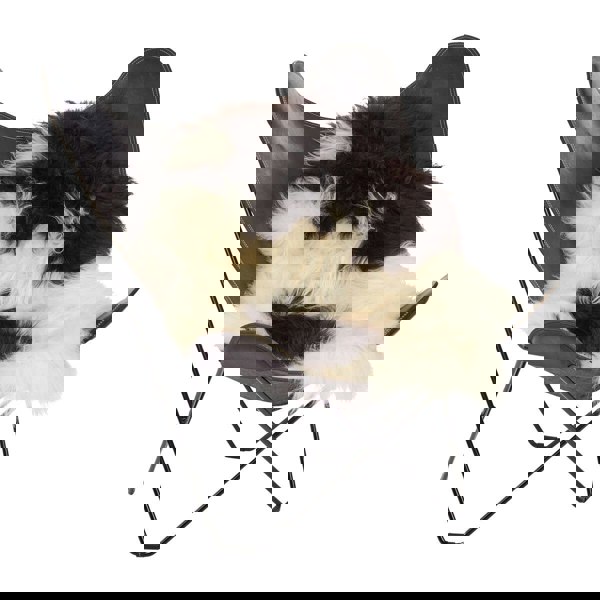 Icelandic Sheepskin | Long Wool | 100-120 cm Spotted