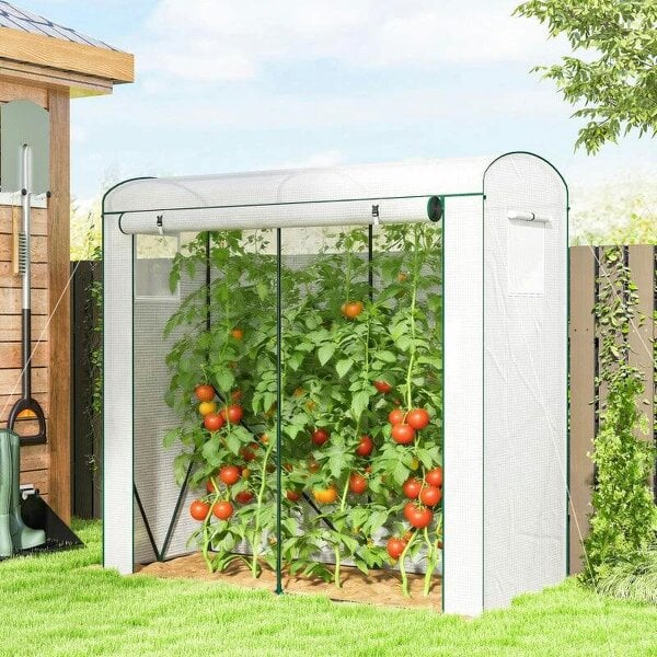 Mini Greenhouse, Garden Tomato Growhouse with Roll-Up Door and 2 Mesh Windows, PE Cover, 200 x 75 x 188 cm, White - White