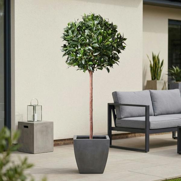 Garden Greatness Lifelike Potted Bay Ball Foliage Tree