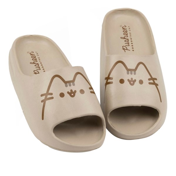 Pusheen Girls Moulded Footbed Sliders - Brown