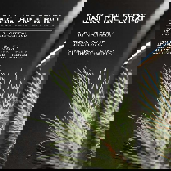 Korres Black Pine 4D BioShapeLift™ Serum 30 ml