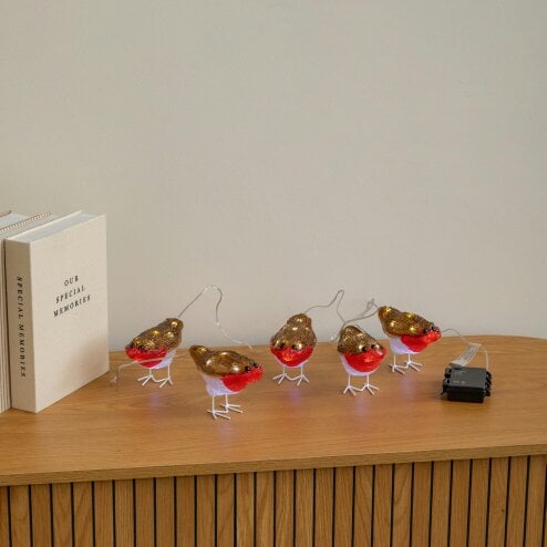 Samuel Alexander Set of 5 Battery Powered Light Up Acrylic Christmas Robins with White LEDs