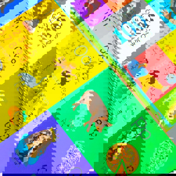 My First 100 Words Box Set 4 Board Books Collection Set (Words, Animals, Colours, Shapes and Numbers, Letters and Phonics)