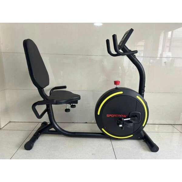 Recumbent Exercise Bike for Home, Indoor Stationary Bike for Seniors with App Connectivity, 0-100% Magnetic Resistance