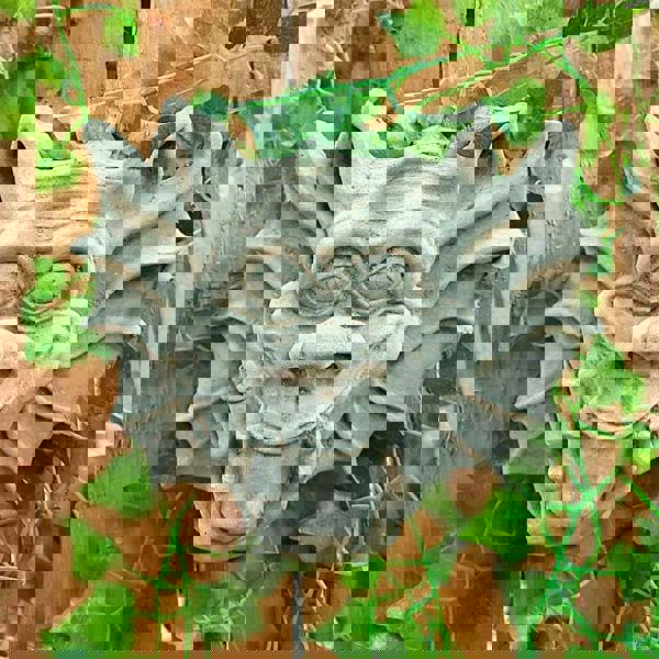 Delightful Stone Cast Thinking Gargoyle Ornament