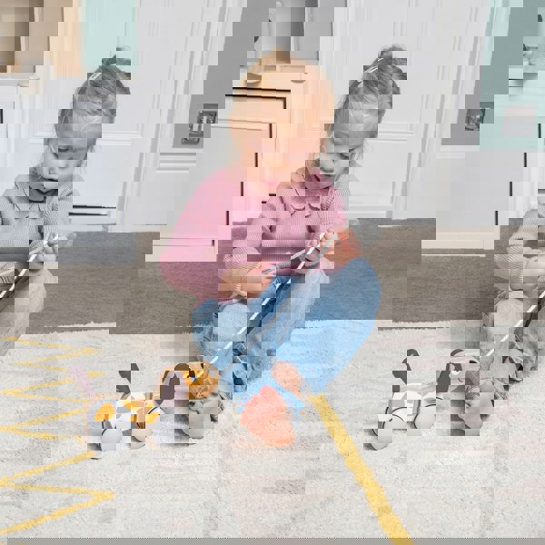 Polar B Pull Along Puppy