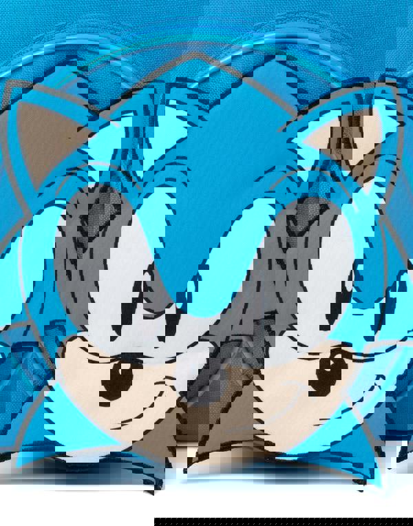 Sonic the Hedgehog Unisex Kids Blue Character 4 Piece Backpack Set (One Size)