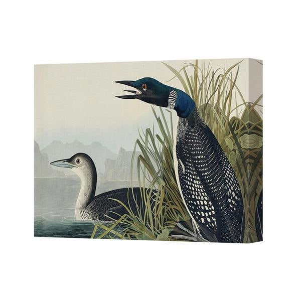 Benjamin Tate Design Wildlife Birds In Wetland Canvas Wall Art Print Decor