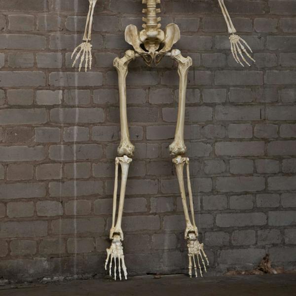 Samuel Alexander 5ft (1.5m) Battery Powered Light up Halloween Skeleton with Poseable Joints & Red LEDs
