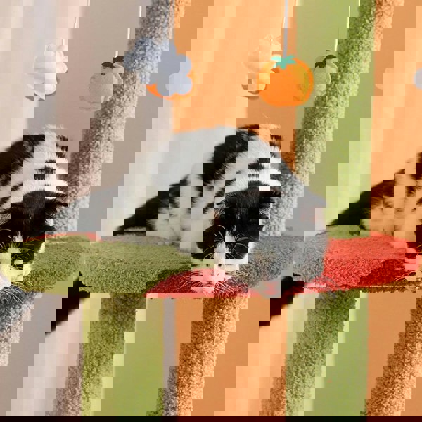 Kyali Cat Tree, Cat Climber, Coral Fleece-Weilai concept-Weilai Concept