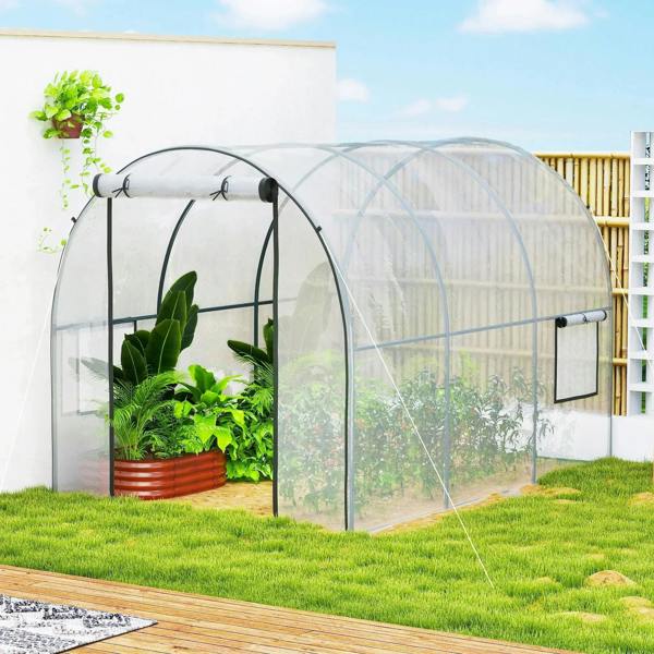 Clear greenhouse with arched steel frame and door opening for plants