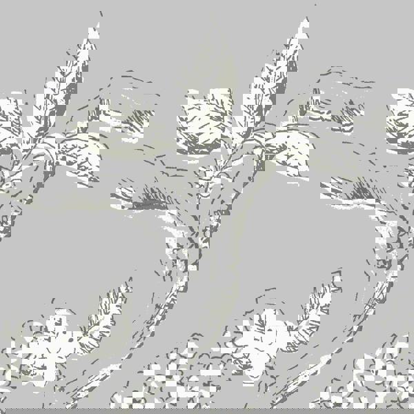 Laura Ashley Elderwood Wallpaper - Steel - 10m