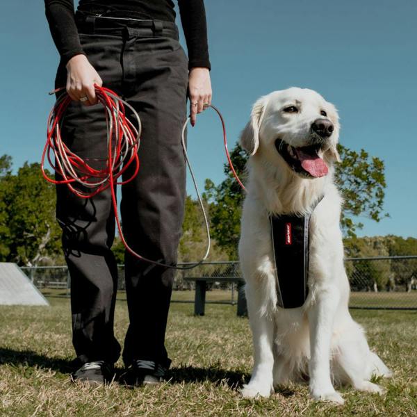 EzyDog Track 'N' Train Slimline Long Line Dog Lead in Red