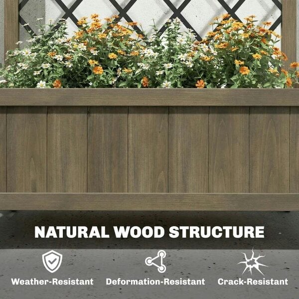 Raised Garden Bed with Metal Trellis, Wooden Elevated Planter Box w/Lockable Wheels, Outdoor Raised Planter, Carbonised