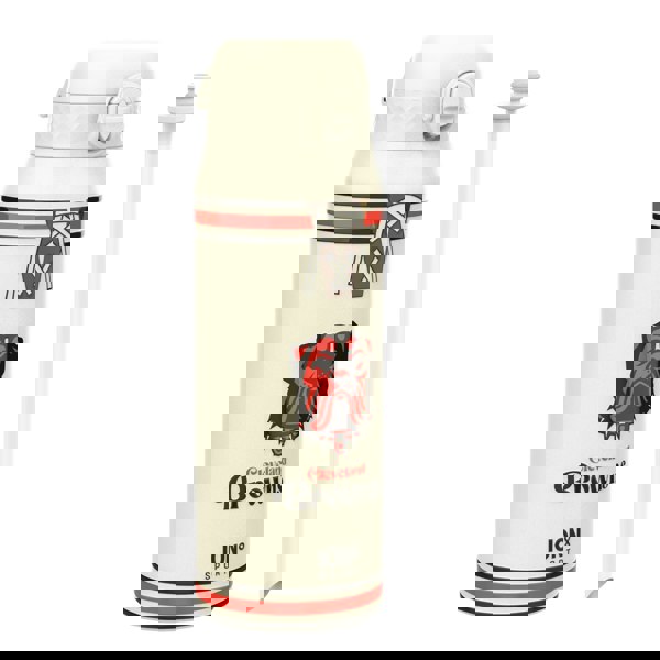 ION8 NFL x ION8 Insulated Steel Water Bottle, NFL Browns, 750ml (24oz)