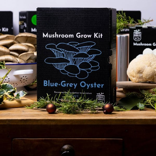 Urban Farm-It Blue-Grey Oyster Mushroom Growing Kit