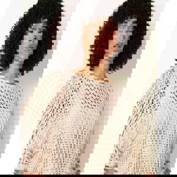 Blue Vanilla Round Neck Net Top