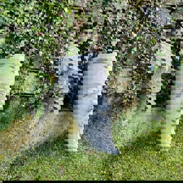 Moon designed Wall Planter and Wall Plaque