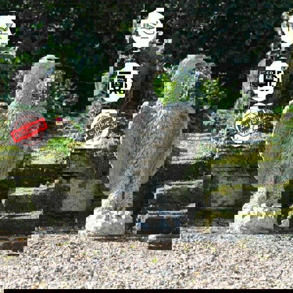 Stone Cast Giant Eagle Statue